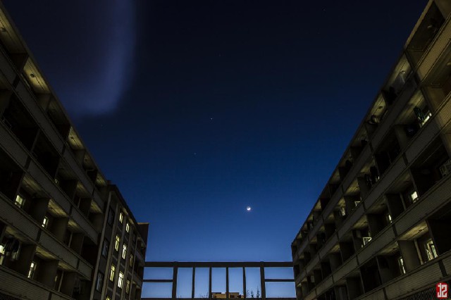  疏桐园夜景
